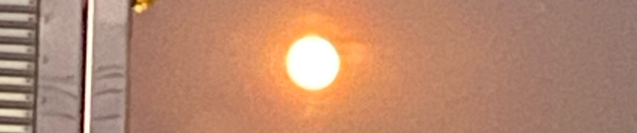 miSt