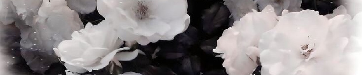 • ¸.☆¸.♡.¸.☆.♡.¸ 🔆