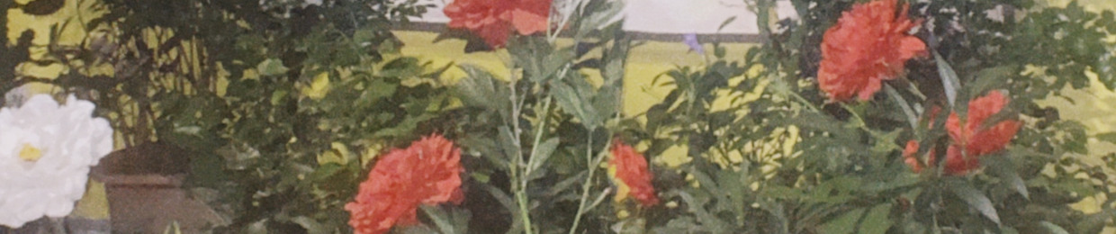 Nguyễn Hữu Mạnh