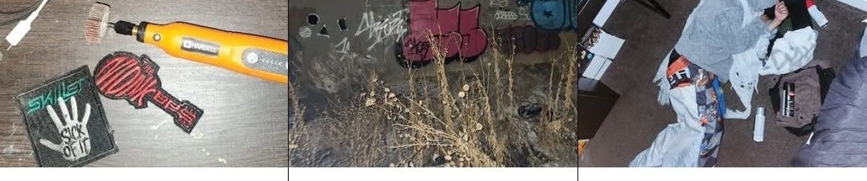 isaccactus
