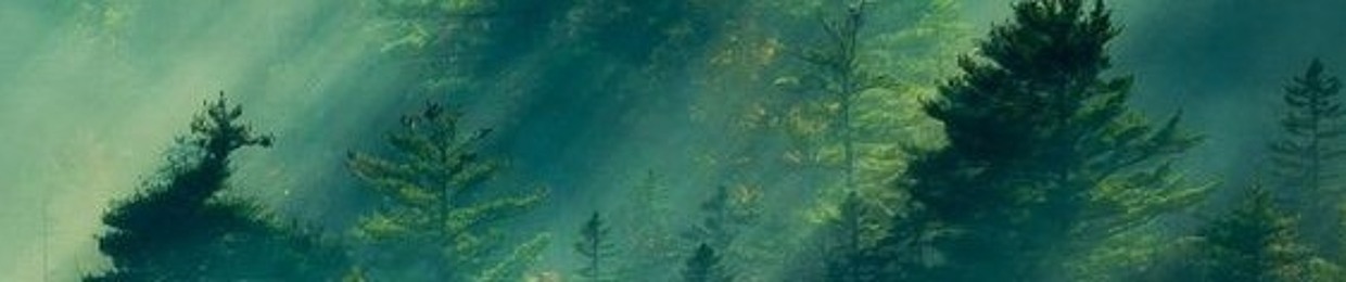 virgin forest