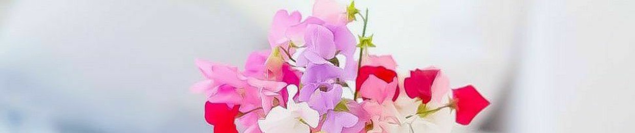 د.محمد امام