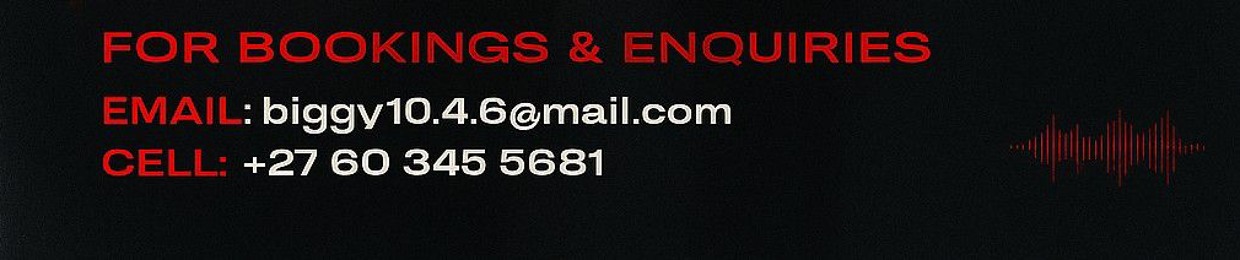 Biggy10.4.6