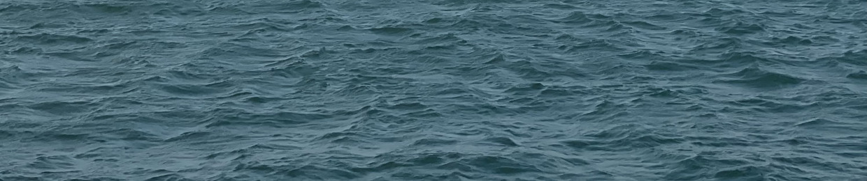 بَيـان