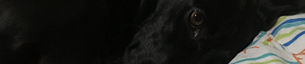 Rendón Daniel