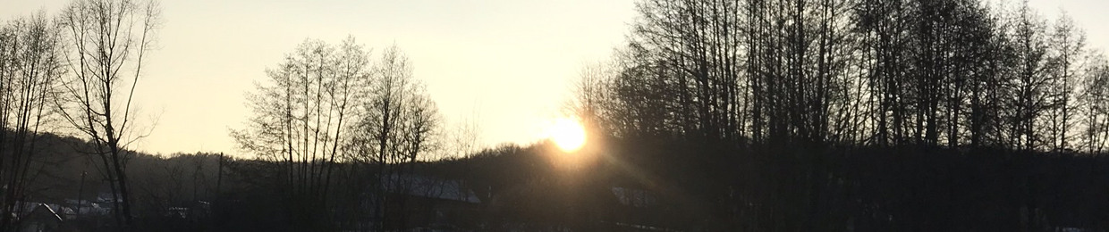 ₩.•|☇|}≈ (;,;)