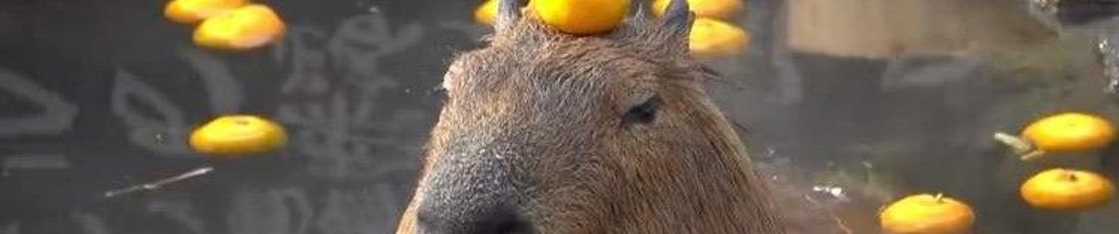 lil capybara