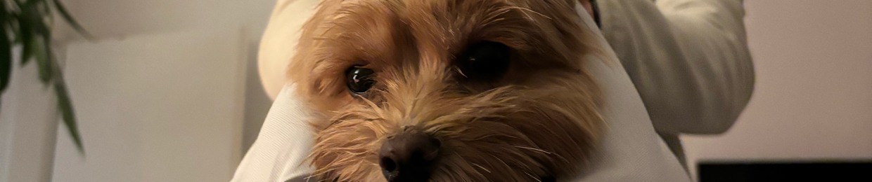 Sebastian