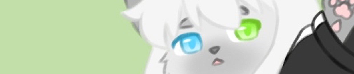 Splashy the cat