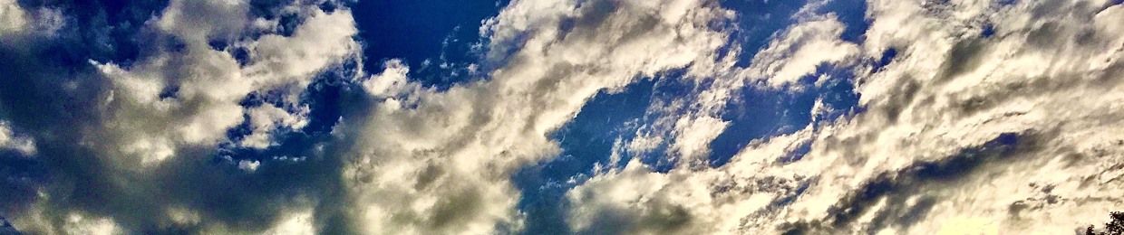 Daniel Chudley - Le Corre