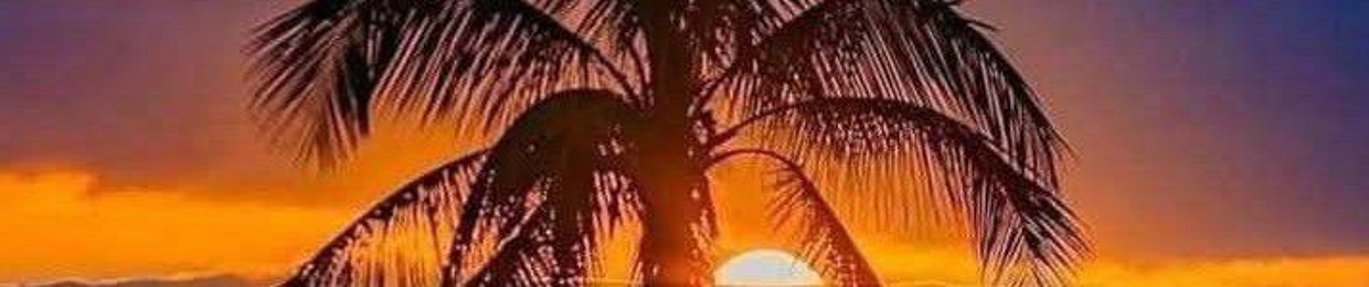 nɸt・๛氕亠MÆT