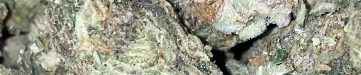 DojoSmoke