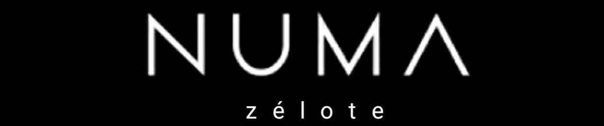 Numa zélote