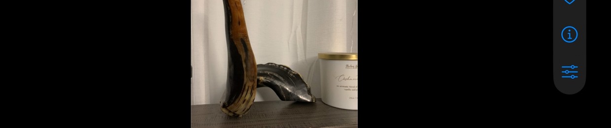 poetic.tesha (תשע)