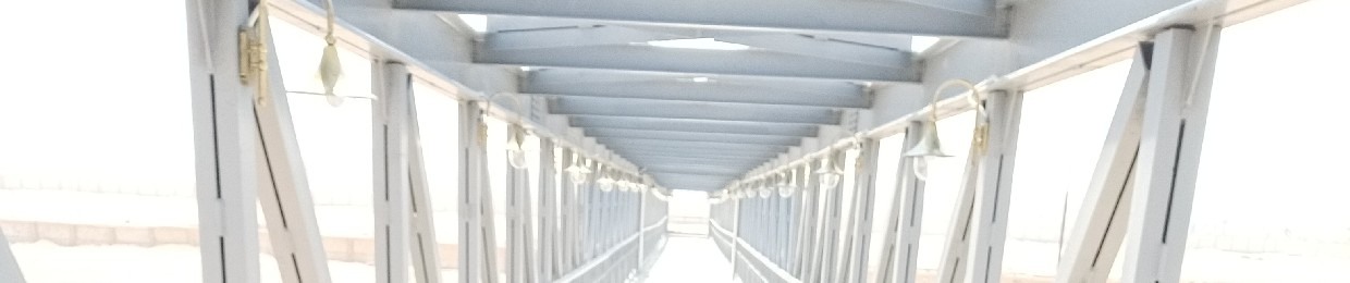 Hesham Ahmed Mohamed