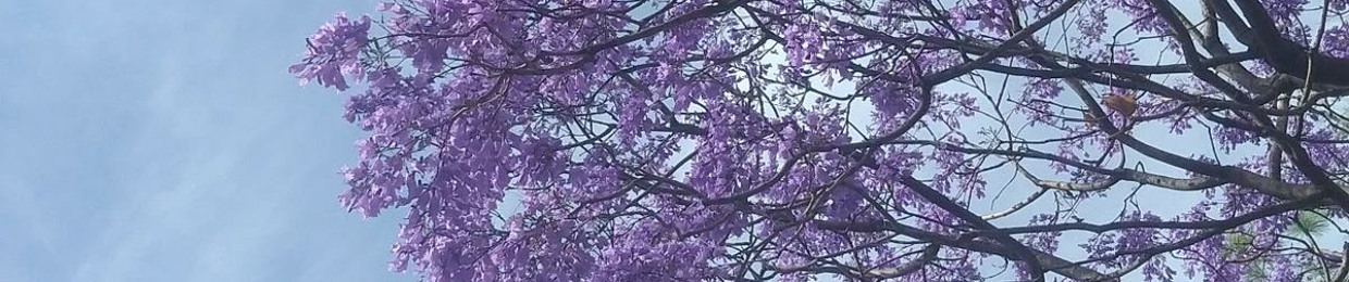 نور