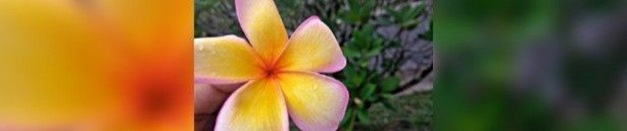 ❥︎𝓶𝓾𝓽𝓪𝓷❥︎𝓵𝓮𝓵𝓾❥︎𝓴𝓪𝓽𝓮𝓶❥︎