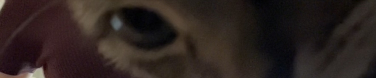 sLayymomma143