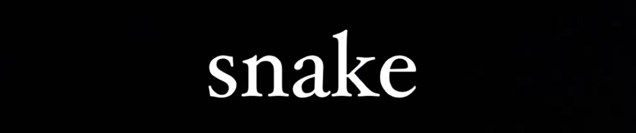 snake🐍