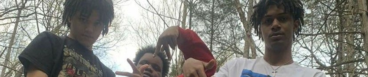 P4KMoneyMir