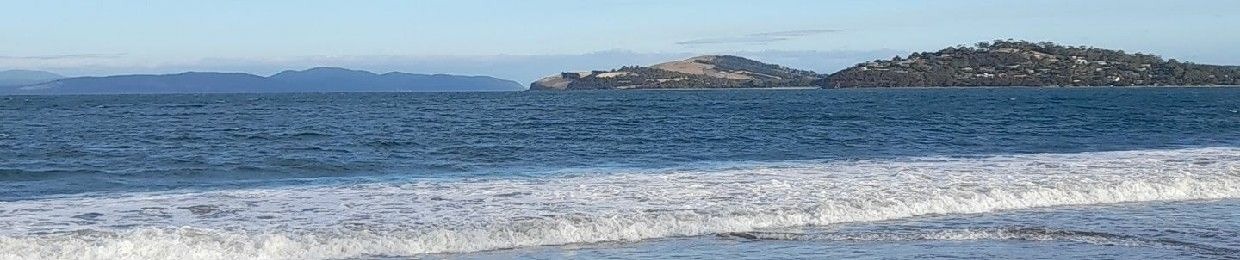 jasbinder singh Shergill