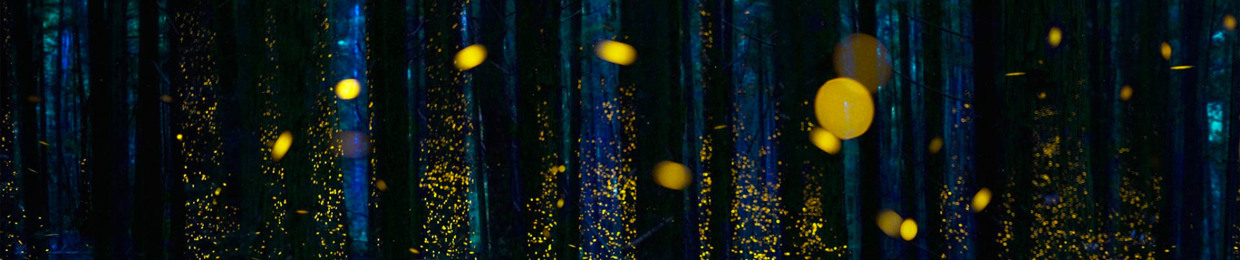 DAVID GAROFALO (Formerly TLVD)