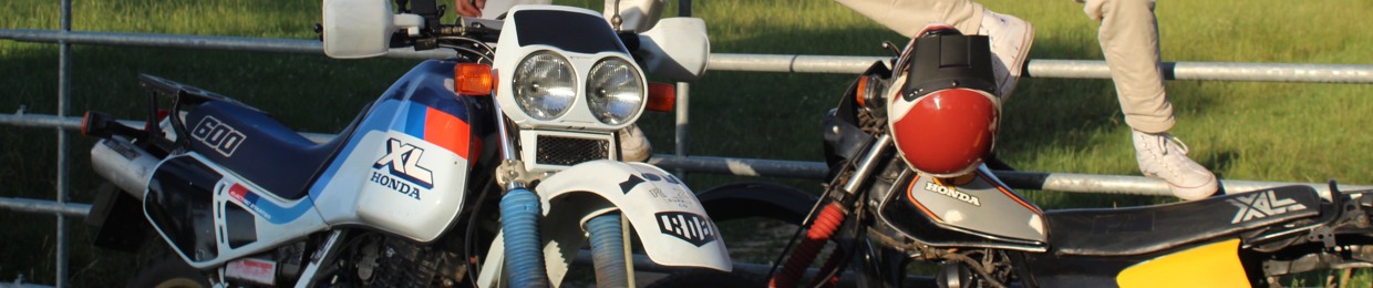 Robichini