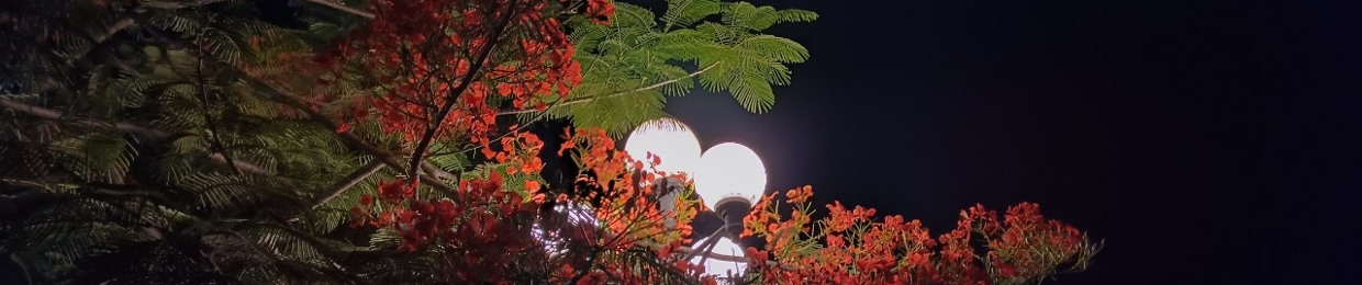 tam.nminh
