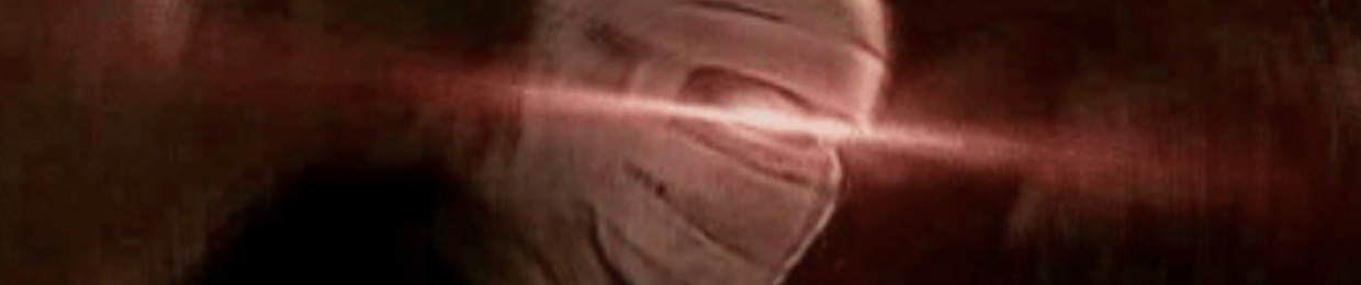 The Picaxeslayer
