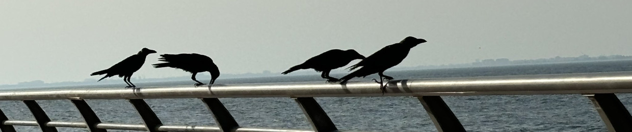 طَلال