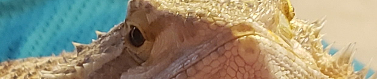 Maverick(on tha track)