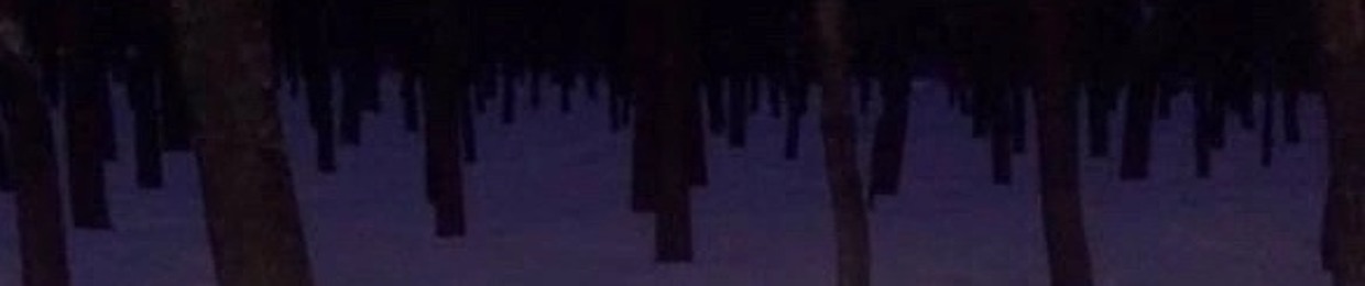 unknown 1.1.1.3