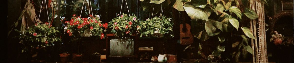 Mỹ Hạnh