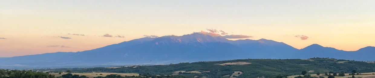 Levo