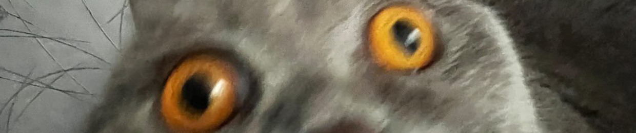 tigr