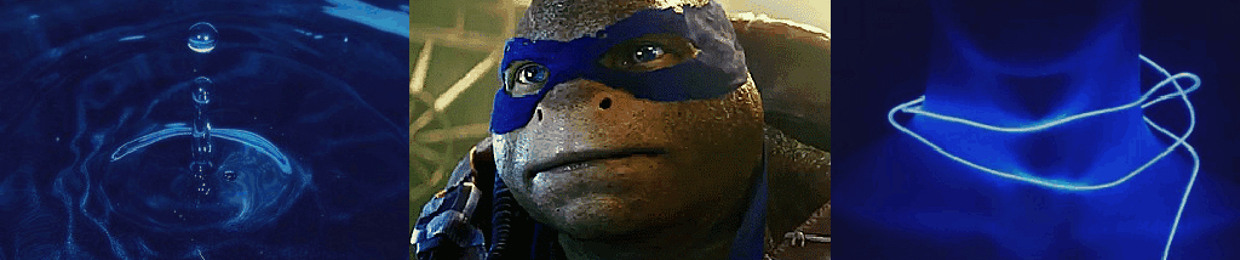 Go Ninja Go