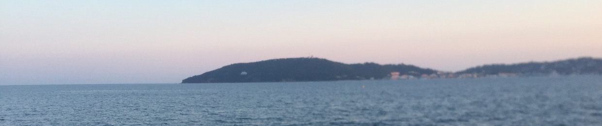 Cotoi Sorin Constantin