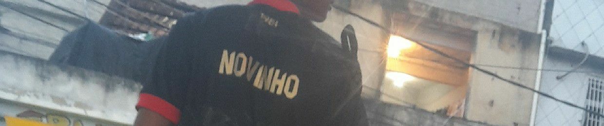 Novinho_220