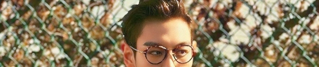 빅뱅vip