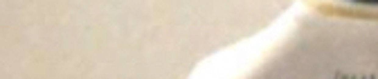a69lsmraee