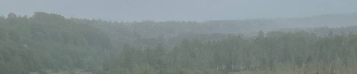аняпринцесса