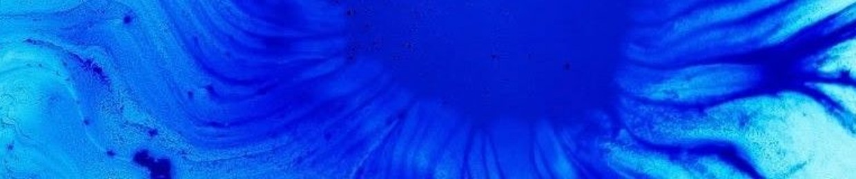 The motorpsycle diaries