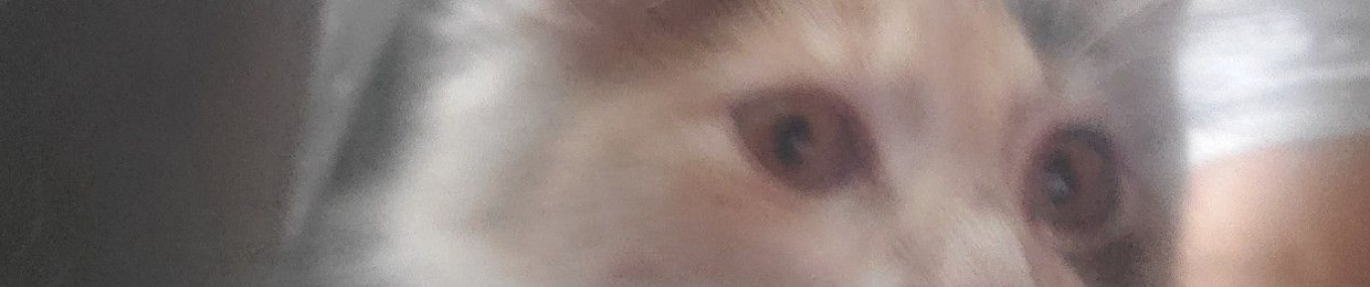 Vernon