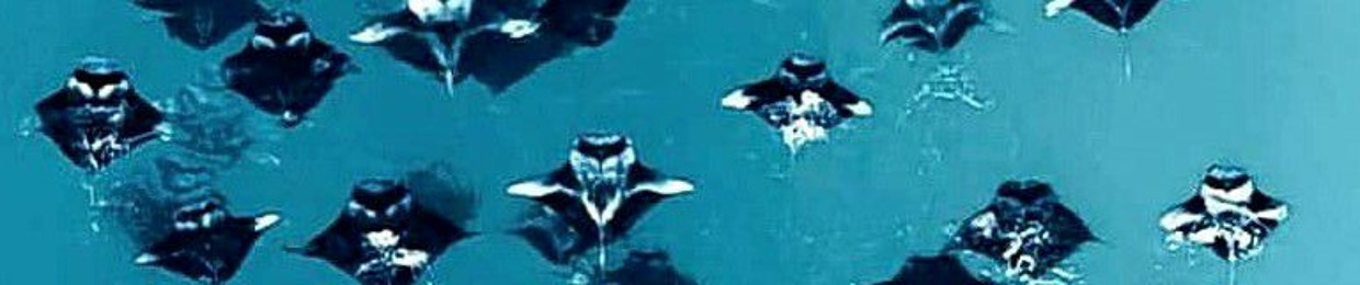 𝓚𝓾𝓭𝓮𝔂'𝔁