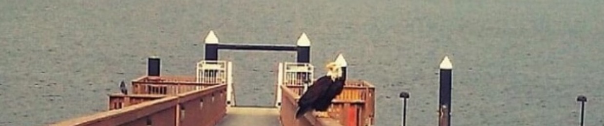 Alaiseana Velasquez-Hawk