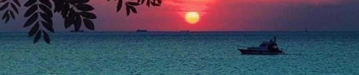 🄿🄷🄸 🄳🅄🄽🄶