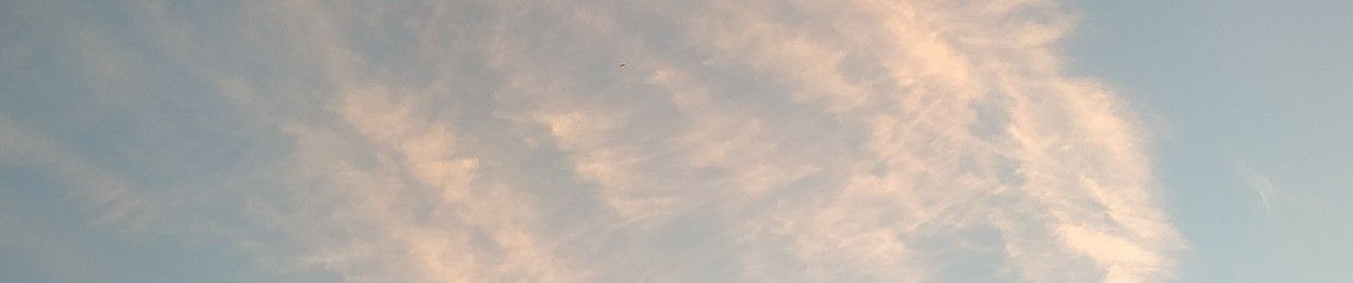 vadix_1337
