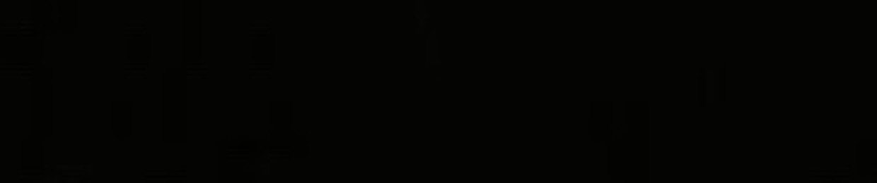 svnshinc