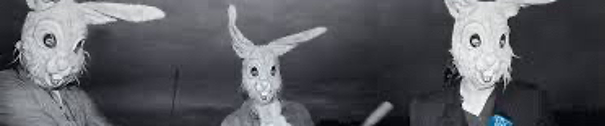 πππππππππ£πͺπ©Έ