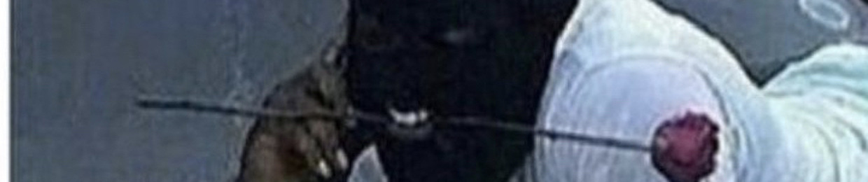 HM3